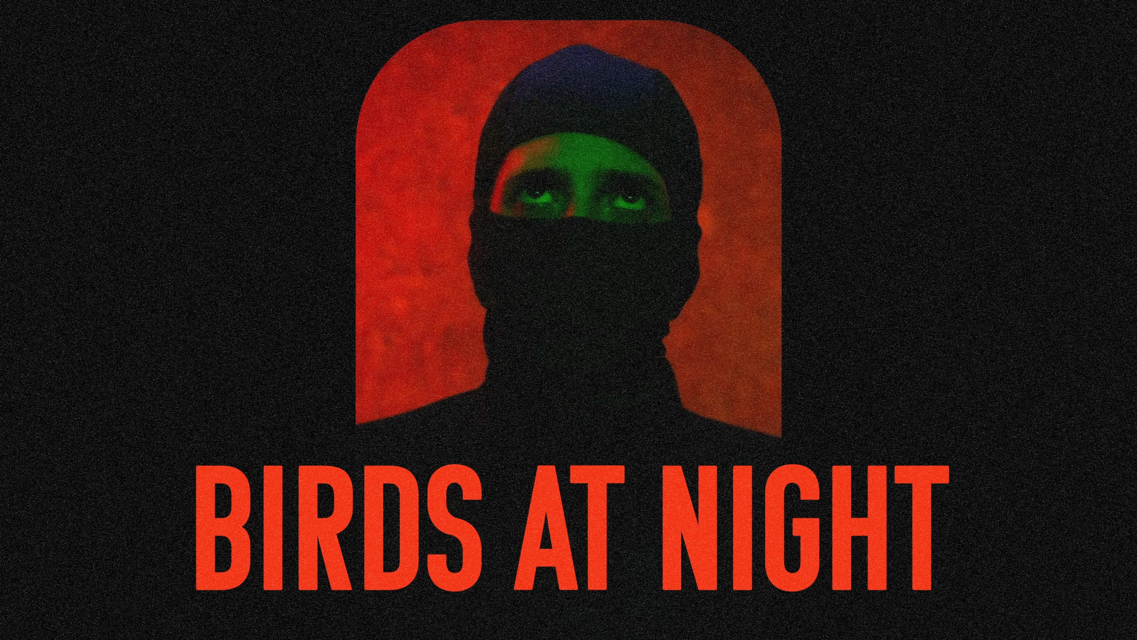 Birds at Night poster